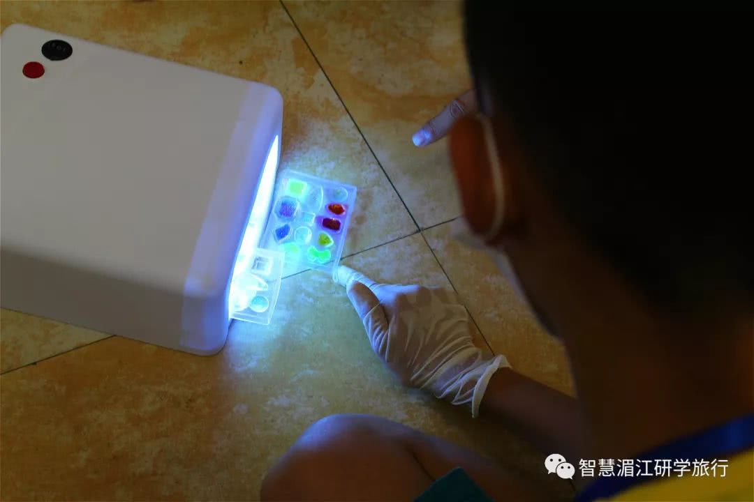 科学的馈赠pdf,科学的馈赠