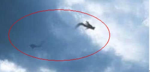 空中真有龙吗,世界到底有没有龙的出现