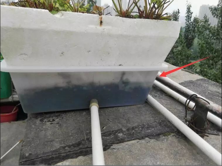 楼顶菜园土层多厚好,顶楼菜园如何防风