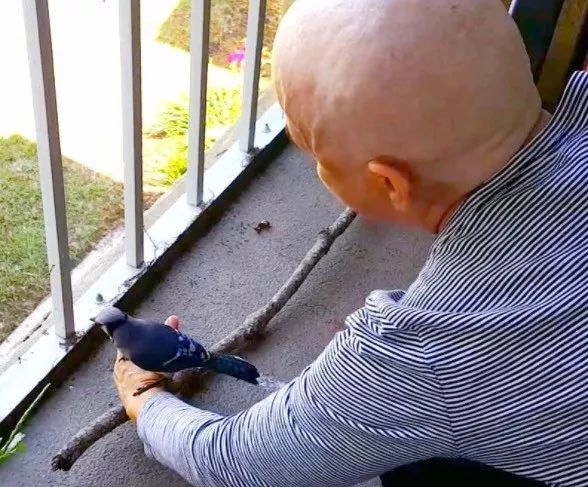 万物皆有灵救了蛇王一命,万物皆有灵救了一只狼崽