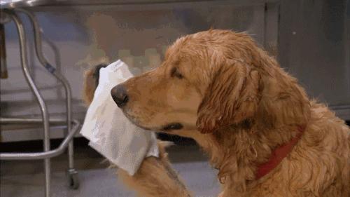 到底如何给孩子补充DHA呢？你要知道这20条