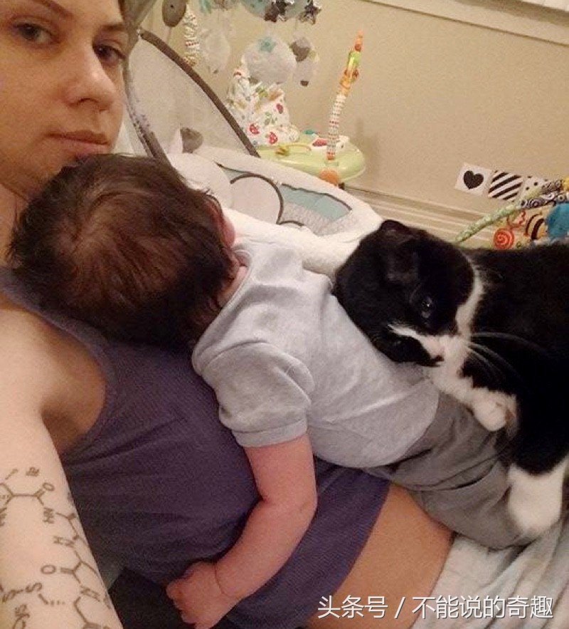 可能你不会知道你家里的这些“家人”是如此的深爱着自己