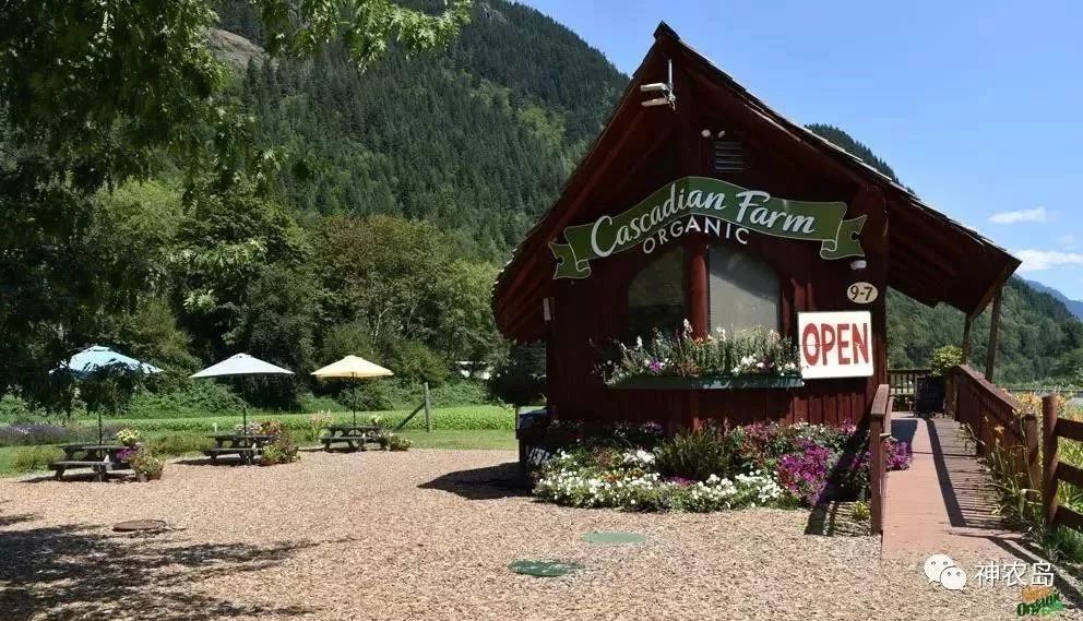 有机认证是智商税吗,有机认证简介