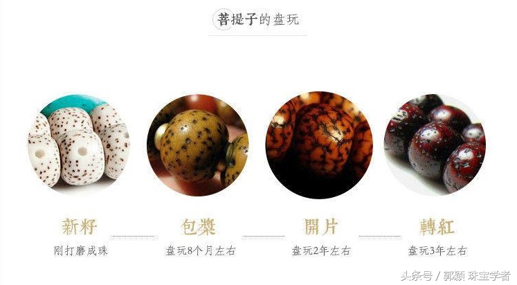 星月菩提的种类和盘玩,星月菩提值得盘玩的种类