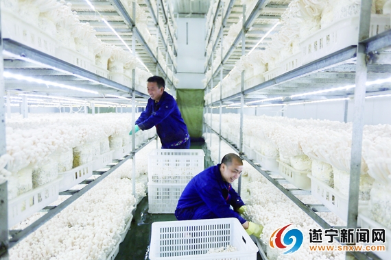 船山攻坚科技创新引领经济转型升级