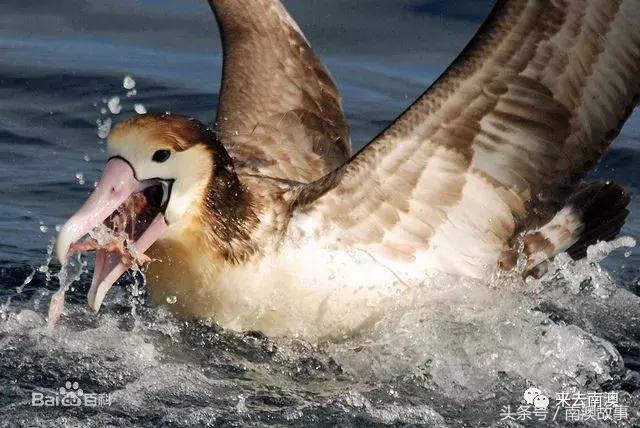 这座小岛究竟隐藏了多少秘密,一座鲜为人知的隐藏小岛