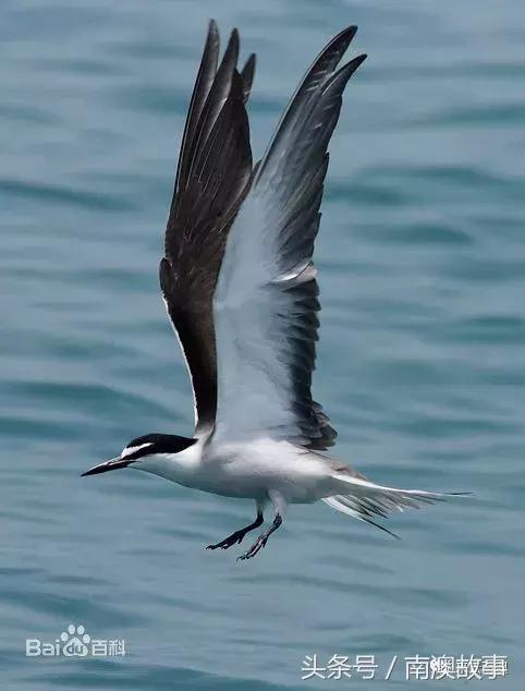 这座小岛究竟隐藏了多少秘密,一座鲜为人知的隐藏小岛