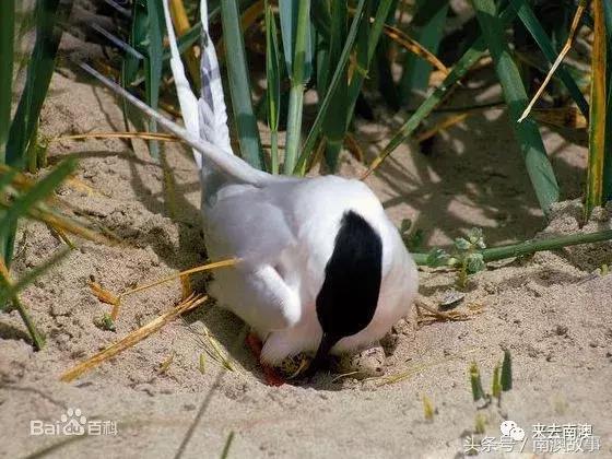 这座小岛究竟隐藏了多少秘密,一座鲜为人知的隐藏小岛