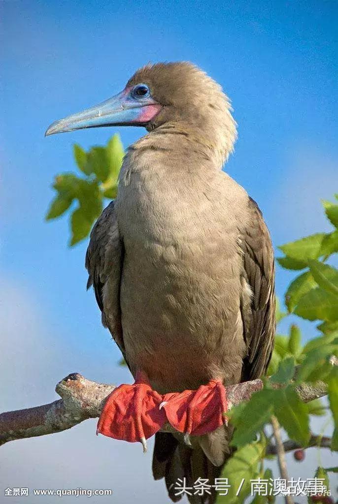 这座小岛究竟隐藏了多少秘密,一座鲜为人知的隐藏小岛