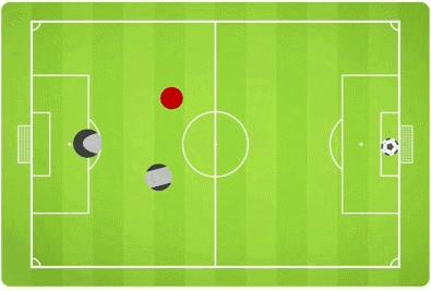 法国队夺冠经历,法国队夺冠反应