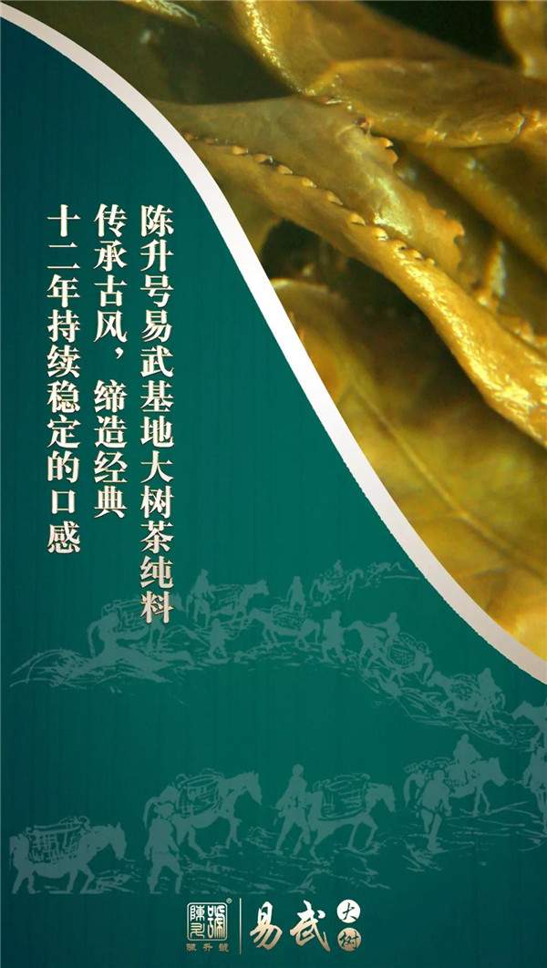 陈升号普洱生茶怎么样,陈升号普洱茶升值潜力巨大