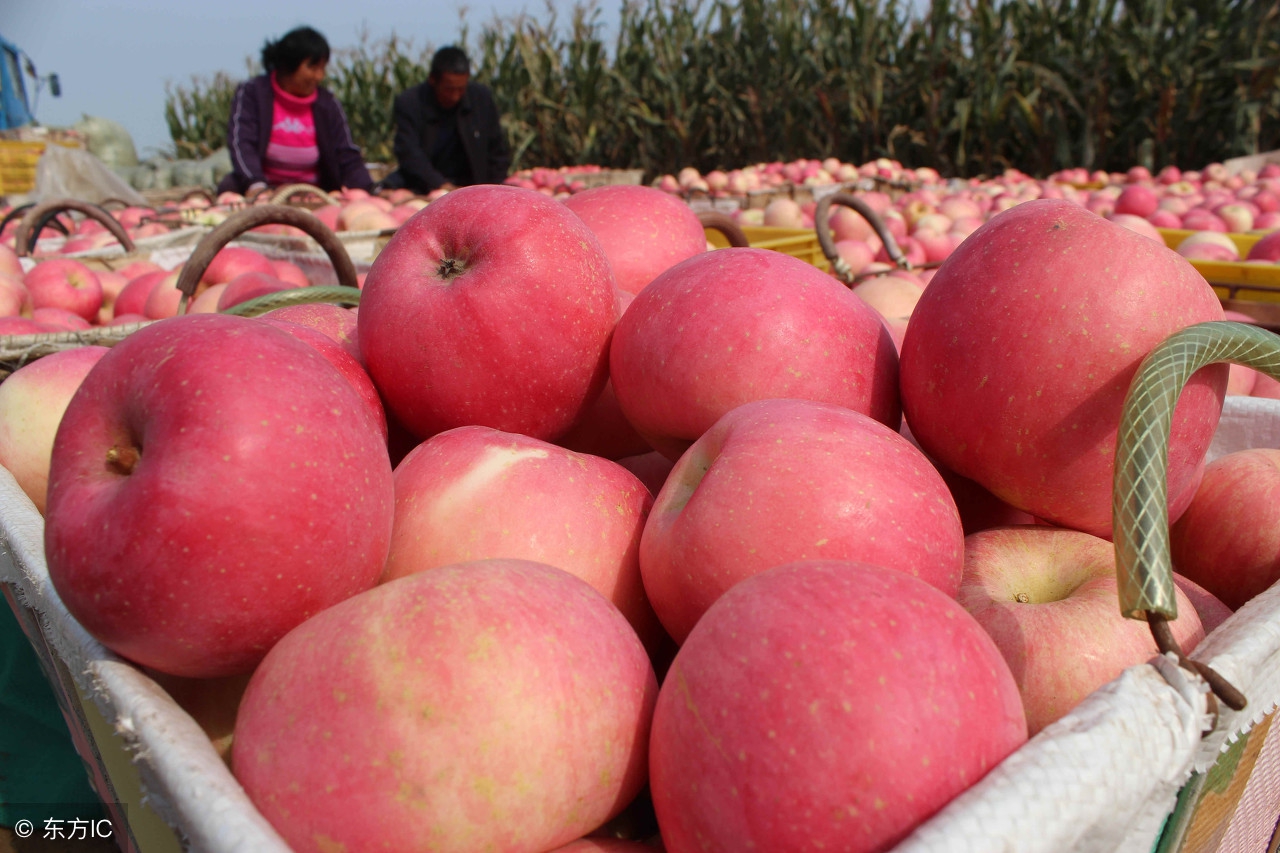 吃货必看!这里的水果好吃!农业部公布第八批全国一村一品名单