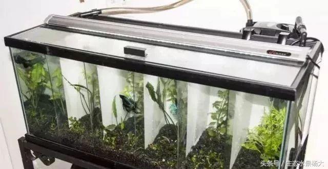 揭秘你不知道的江湖,你不知道的江湖