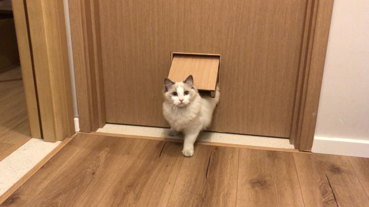 全屋实木家具布置 (家里装修设计实木家具)