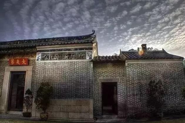 义乌这地方太惊艳！2880只瓷碗铺地，30万元一株的羽毛枫，近百万元一棵的黑松……