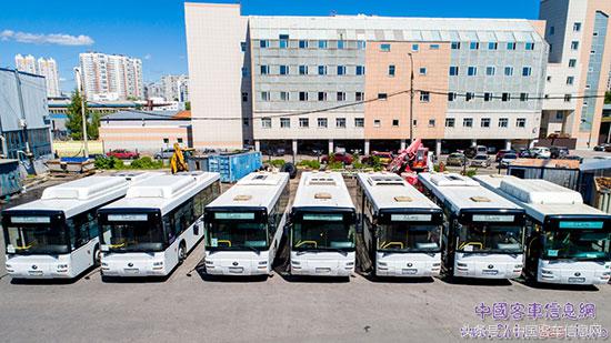 世界杯2018都有哪些队,2018世界杯的惊天秘密