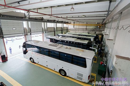 世界杯2018都有哪些队,2018世界杯的惊天秘密