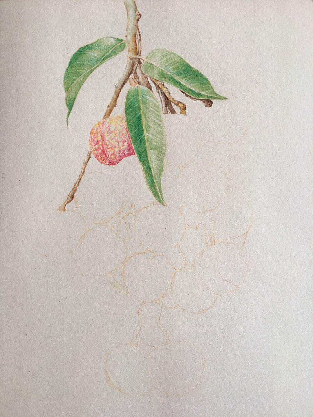 幸福原创画吧画友（7月17日）习作分享