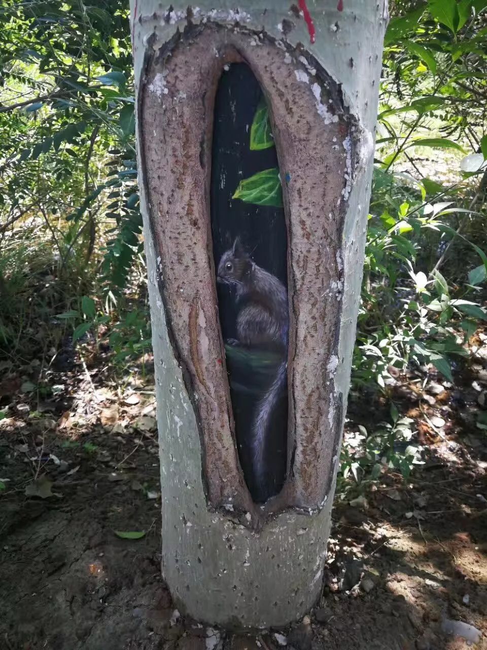 十一银川免费一日游推荐,宁夏十一一日游