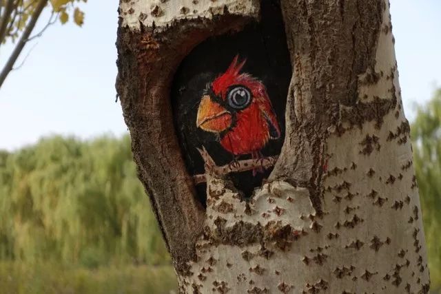 十一银川免费一日游推荐,宁夏十一一日游