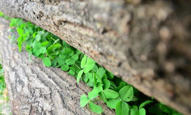 夹缝中的生意,一个月赚5000万生意思维