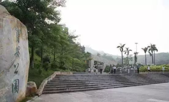 深圳免费景区一览表,深圳国际艺术博览会免费门票