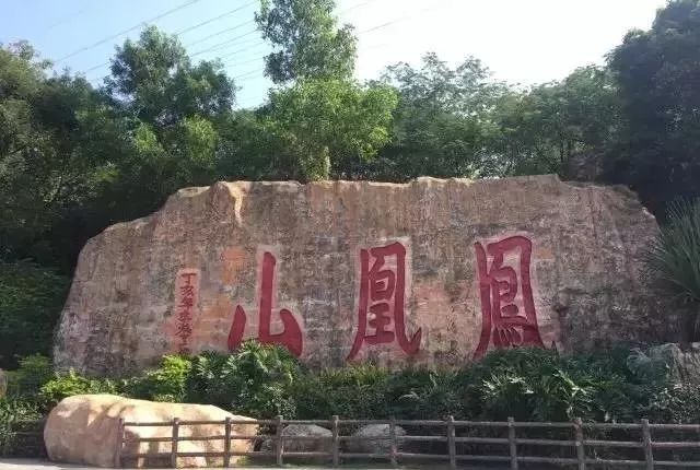 深圳免费景区一览表,深圳国际艺术博览会免费门票