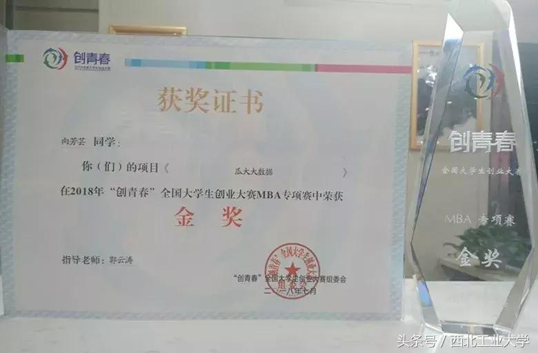 2018中国国际高校创新创业大赛,中国国际大学生创新创业大赛银奖