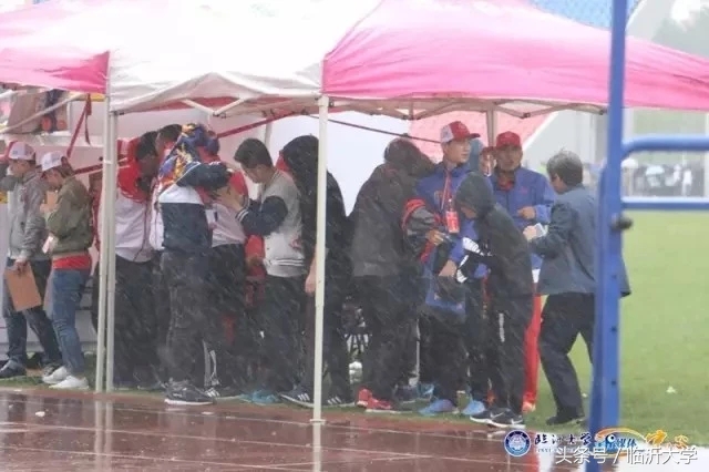 临沂大学排名前十的专业,临沂10所大学排名