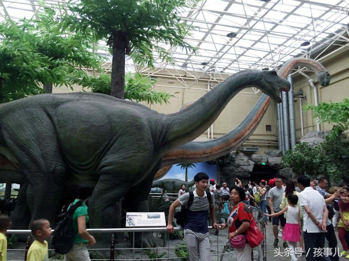 杭州带娃假期旅游攻略推荐,杭州自由行三天旅游攻略带孩子