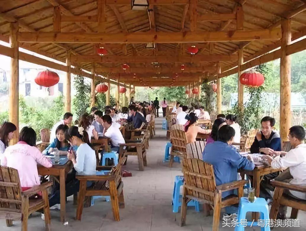 广州挑战20元做两菜一餐,广东40元做两个菜