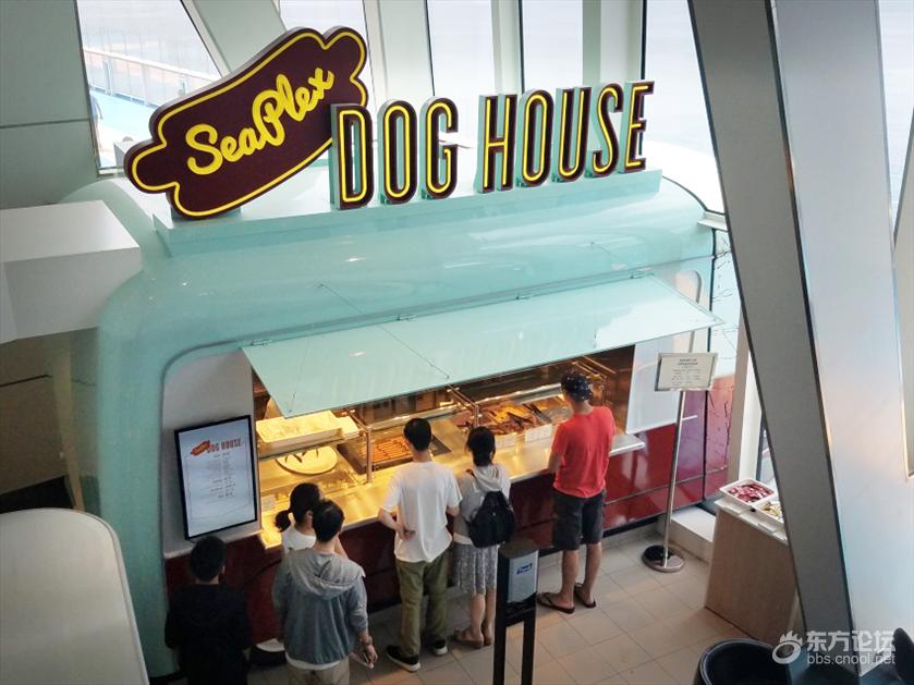 坐豪华游轮,坐豪华游轮是什么体验