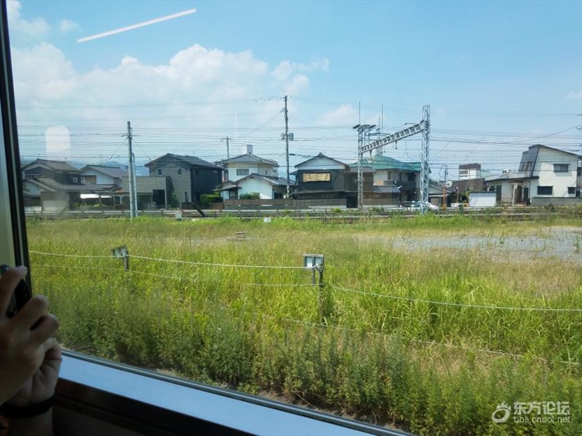 皇家加勒比游轮量子号游记,坐海洋量子号游轮旅游攻略