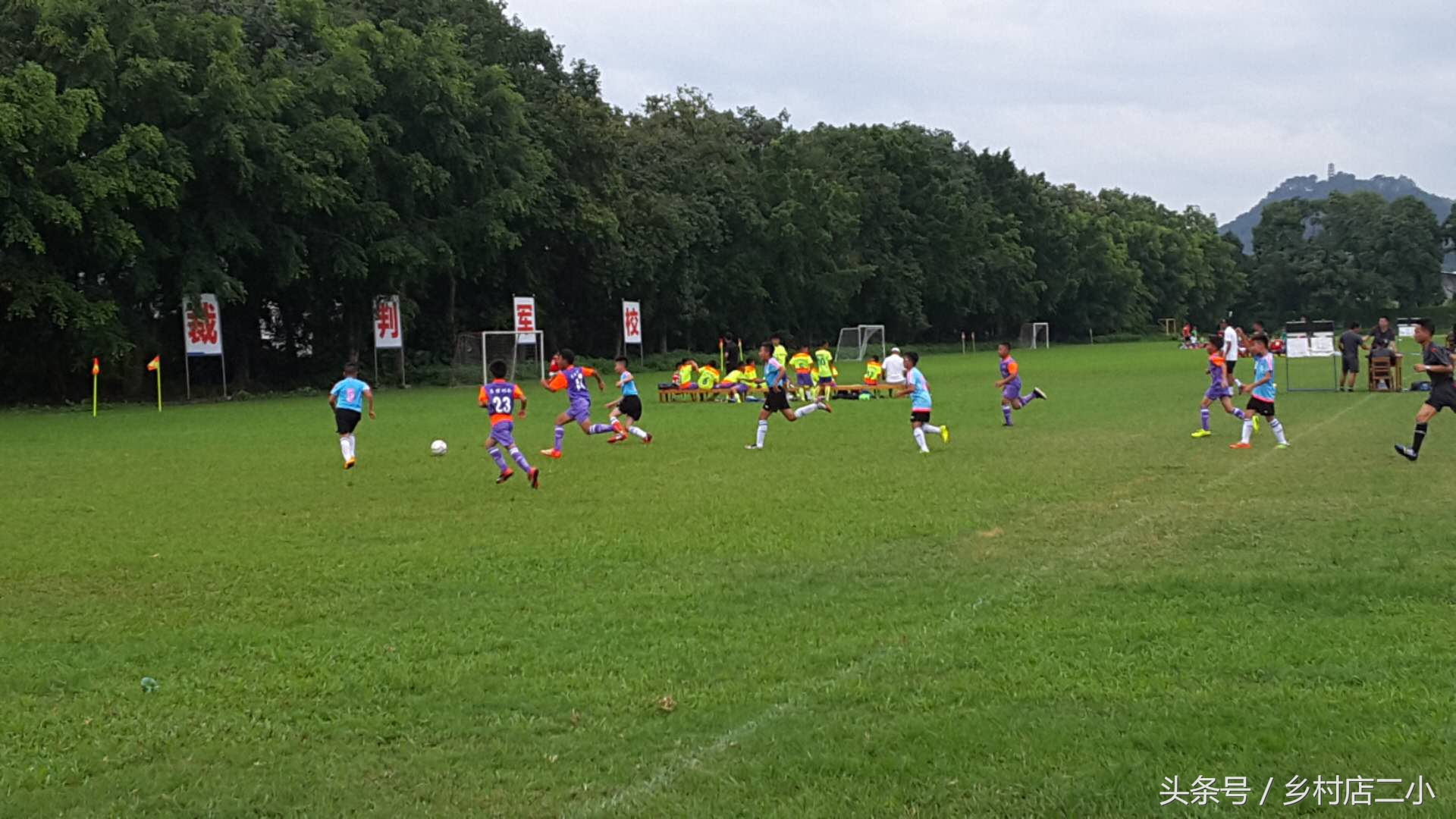 梧州足球全国赛,2022梧州市足球联赛