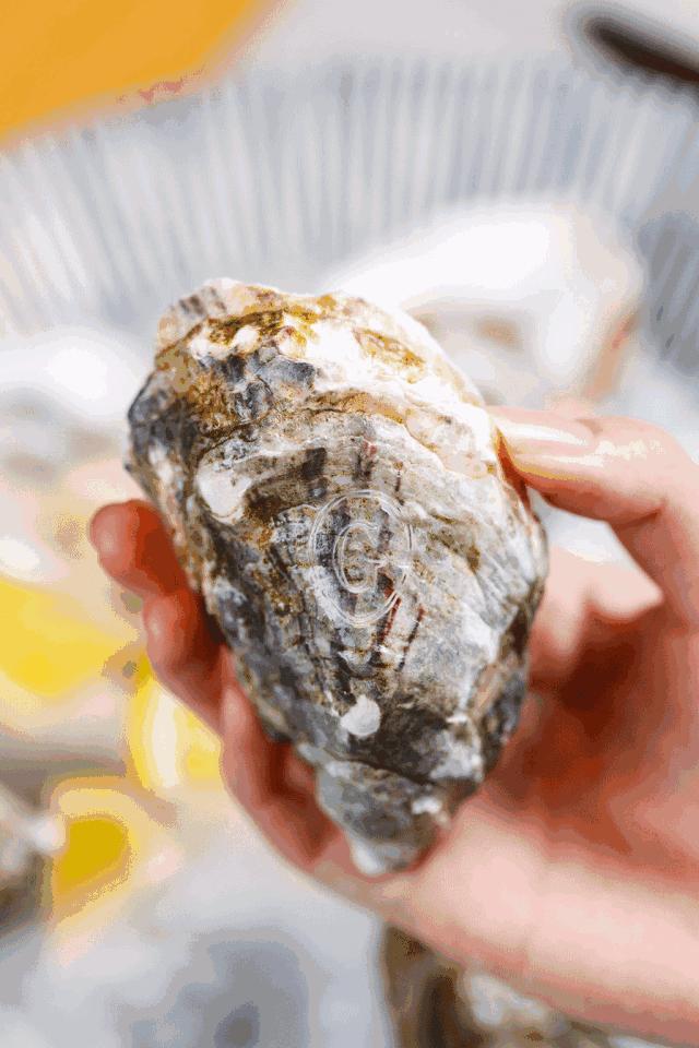 傲娇！藏在解放南路的「花园餐厅」只有6张桌！道明寺来也要预约