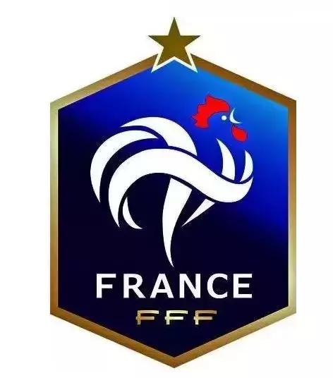 法国国家队球衣队徽下的字,法国足协球衣