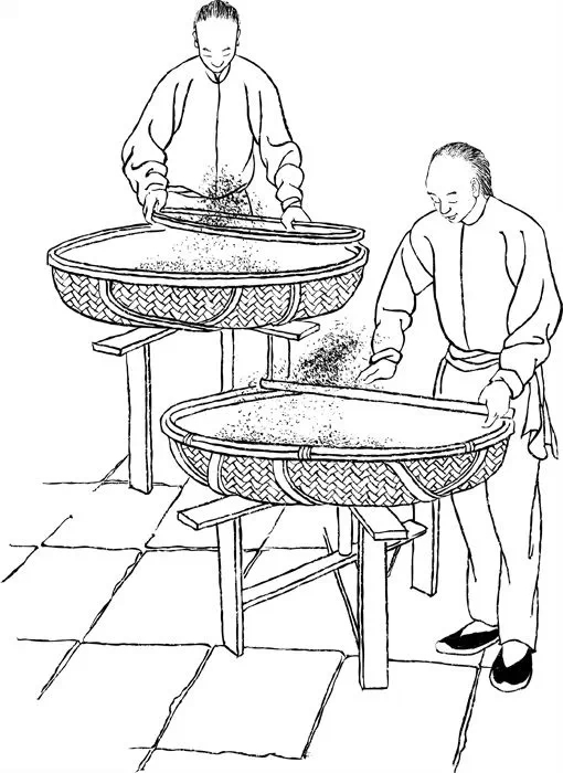 大红袍制茶工艺流程,大红袍还原烧工艺