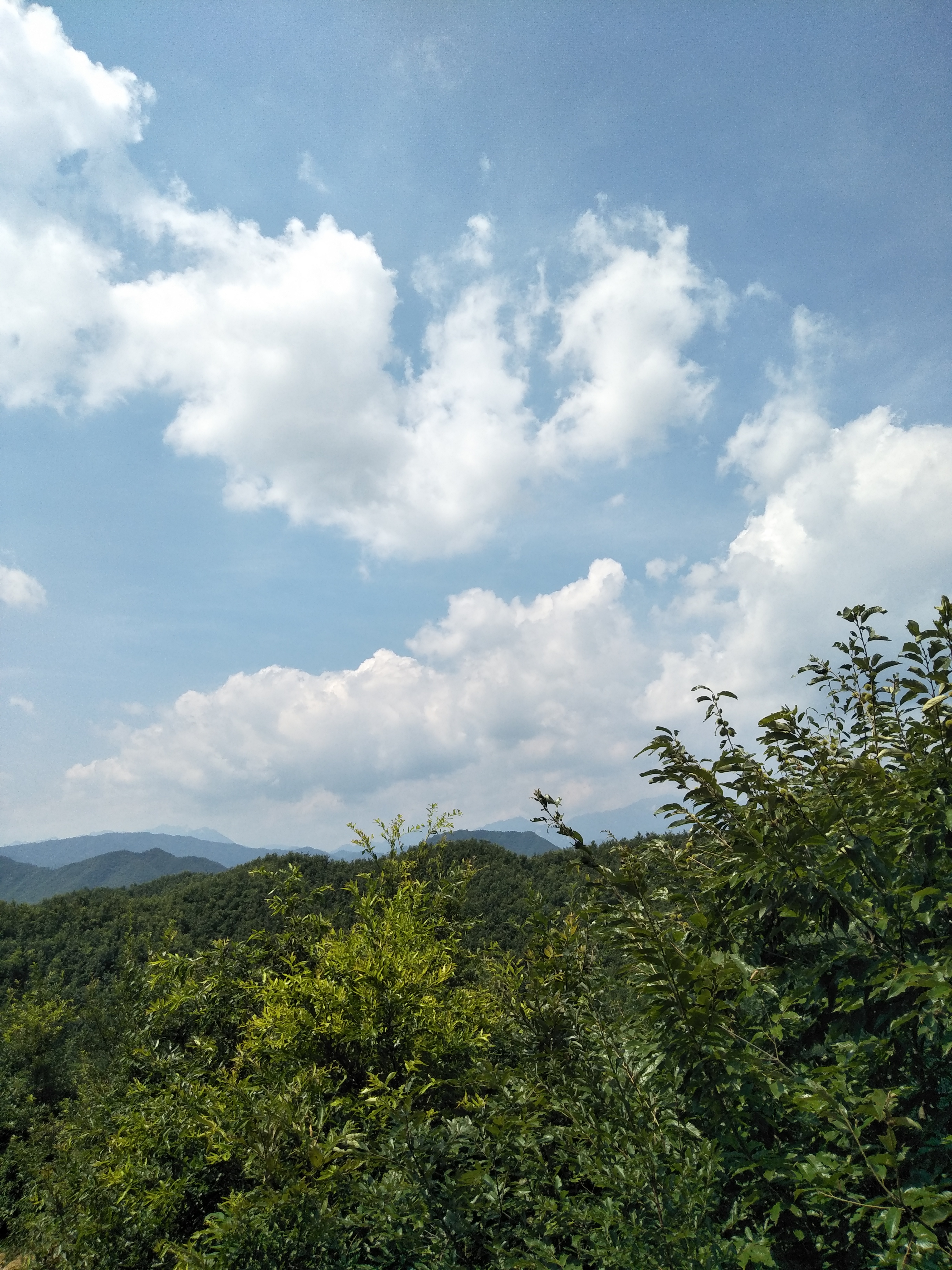 宝天曼景区最佳旅游季节,南召县宝天曼风景区