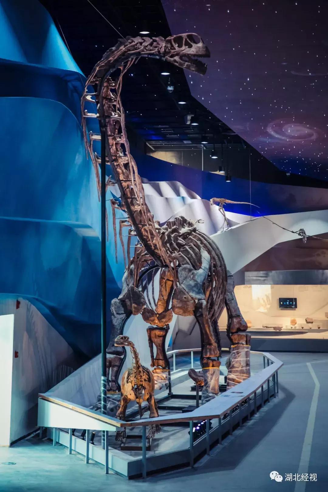 机票什么时候可以免费退改签,民航局最新通知折扣机票可以退吗