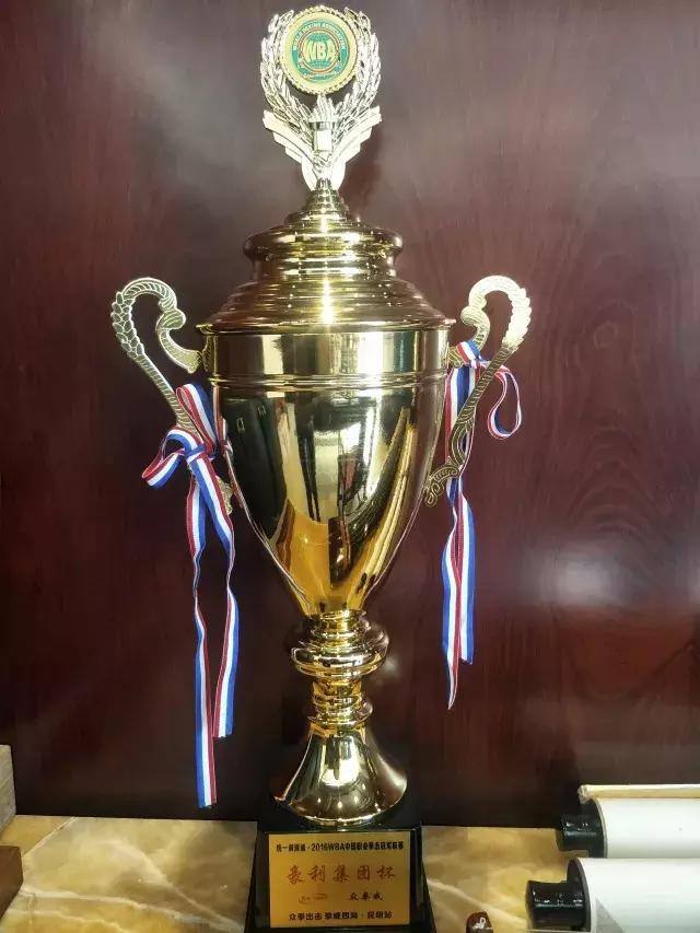 豪利整木厂家,豪利整木定制全屋定制