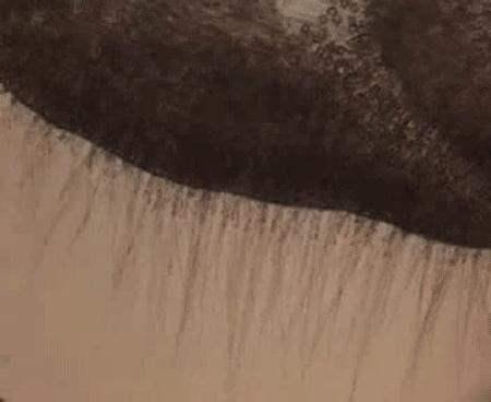 14级剧痛怪症的真相,却是指甲盖大小的透明幽灵