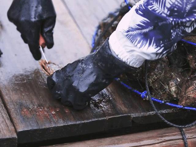 自用好物分享素颜霜,素颜霜底妆好物分享