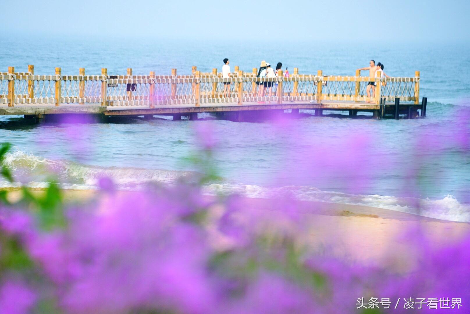 沙滩拾贝壳景区,沙滩花海美景