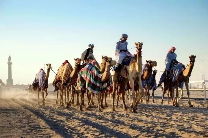 卡塔尔世界杯期间免签吗,2022年卡塔尔世界杯你准备好了吗