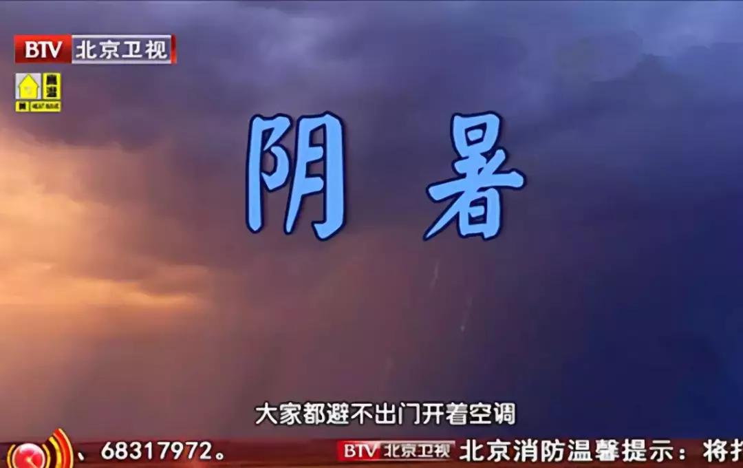 健脾祛湿的秋季茶饮,夏天祛暑湿用什么泡茶好