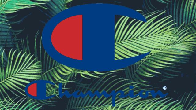 champion鞋子温州店,温州champion直播