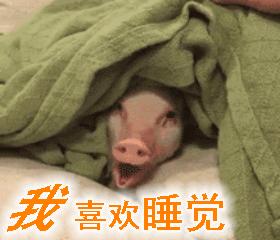 表白的表情包隐藏文字,喜欢你表白搞笑视频