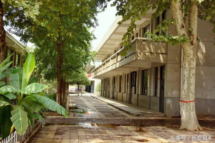 20年前的一中,20年前西安长安区