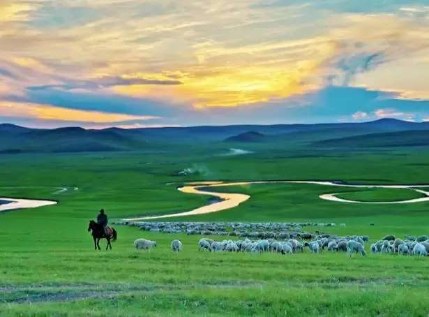想和你一起去旅行去大草原 (呼伦贝尔大草原天苍苍野茫茫)