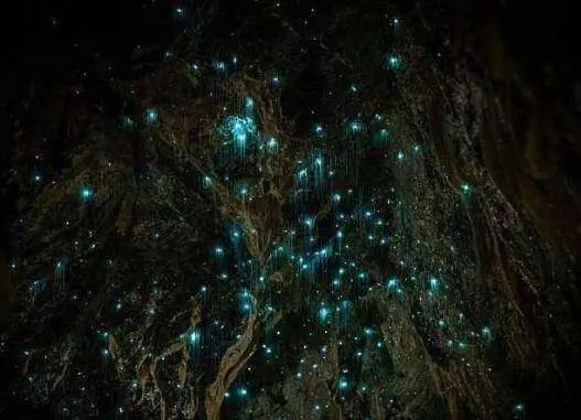 桂林最出名的两大洞穴,桂林洞穴